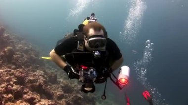 Scuba diver derin sualtı Yüzme.