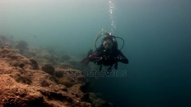 Scuba diver derin sualtı Yüzme.