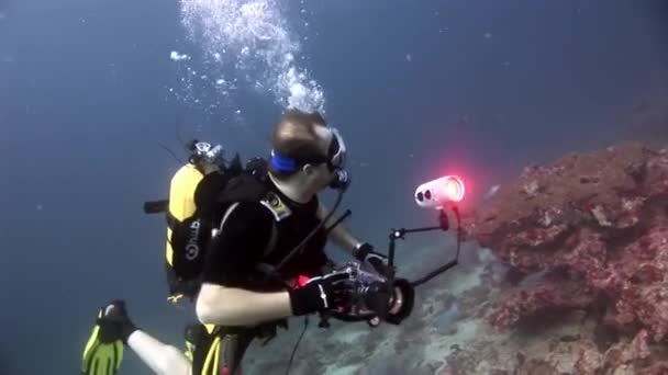 Аквалангіст плавання глибоко під водою. — стокове відео