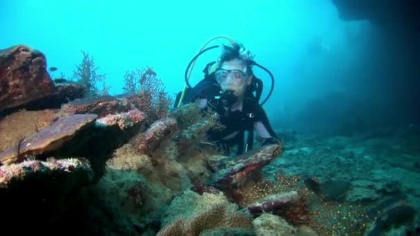 Scuba diver derin sualtı Yüzme. — Stok video