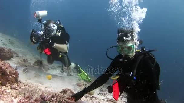 Immersioni subacquee nuotando sott'acqua . — Video Stock