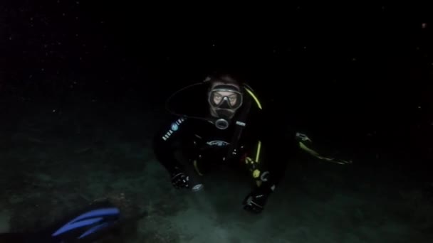 Scuba diver, pływanie głęboko pod wodą. — Wideo stockowe