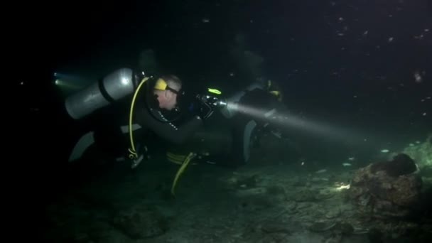 Прыгун с акваланга глубоко под водой . — стоковое видео