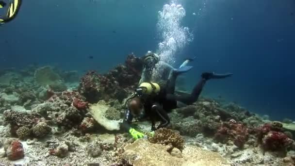 Scuba diver derin sualtı Yüzme. — Stok video