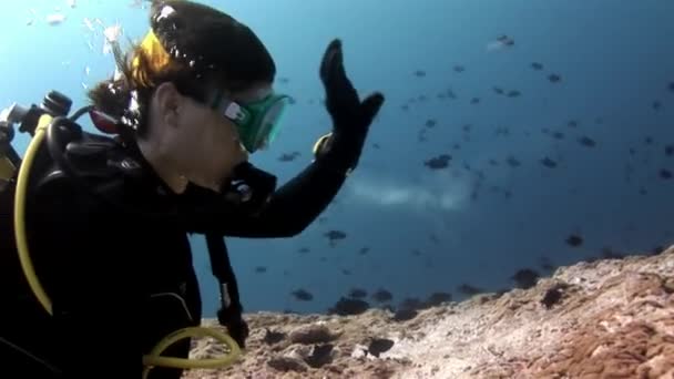 Scuba diver diep onderwater zwemmen. — Stockvideo