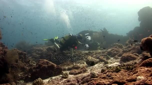 Plongeur nageant sous-marin profond . — Video