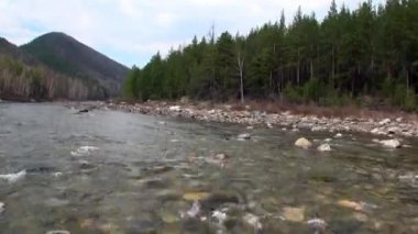 Dağ nehri Temnik, Baykal Devlet Doğa Koruma Alanı 'nın sınırında..