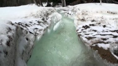 Rusya 'nın Sibirya İlkbaharı.