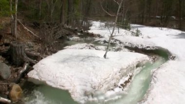 Rusya 'nın Sibirya İlkbaharı.