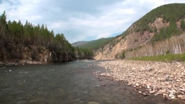 Banca di fiume rocciosa in Montagna in Siberia di Russia. — Video Stock