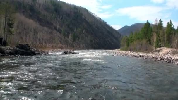 Berg rivier Temnik op de grens van Baikal State Nature Biosphere Reserve. — Stockvideo