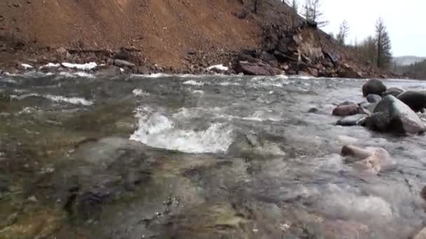 Βραχώδης όχθη του ποταμού στο βουνό στη Σιβηρία της Ρωσίας. — Αρχείο Βίντεο
