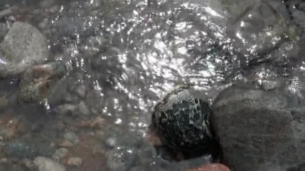 Sauberes Wasser und steinerner Felsgrund im Frühling im Gebirgsfluss Temnik. — Stockvideo