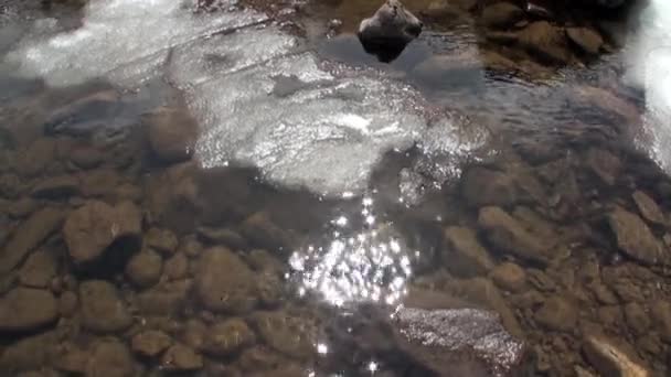 La fonte des neiges sur la rivière de montagne Temnik en Sibérie de la Russie. — Video