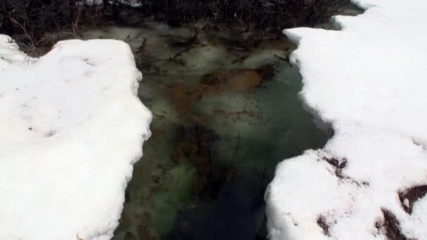 Flusso in primavera Siberia di Russia. — Video Stock