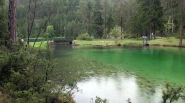 Fernsteinsee yeşil dağ gölü Fernpass Nassereith Avusturya, yağmur.