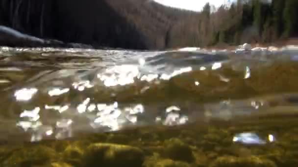 Clean water and stone rock bottom in spring in mountain river Temnik. — Stock Video