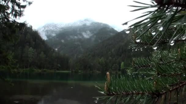 Fernsteinsee smaragd gröna fjällsjö på Fernpass i Nassereith Tyrolen. — Stockvideo