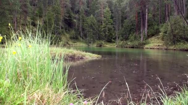 Lluvia en Fernsteinsee lago de montaña verde en Fernpass en Nassereith Austria . — Vídeo de stock