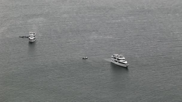 Bílé jachty na pozadí modré vodní plochy v Tichém oceánu. — Stock video