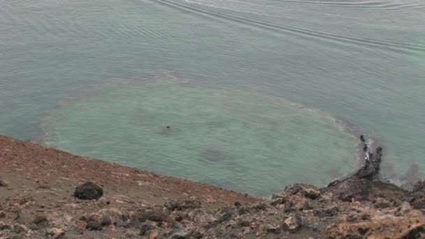 Olas en la costa Islas Galápagos . — Vídeos de Stock