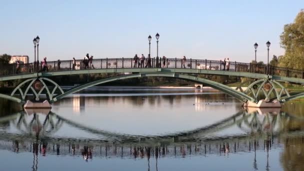 People go across bridge in park in summer Moscow. — Stock Video