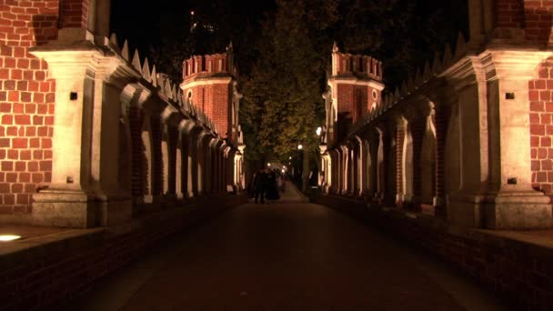 Mensen lopen op brug Tsaritsyno Museum in Moskou in de nacht. — Stockvideo