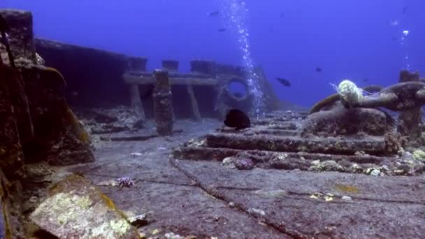 Gezonken schip onderwater rode zee. — Stockvideo