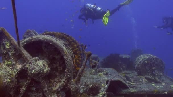 Nurkowanie w pobliżu zatopionego statku podwodnego Morza Czerwonego. — Wideo stockowe