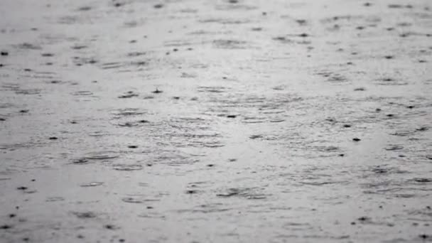 Krople deszczu na powierzchni wody oceanu. — Wideo stockowe