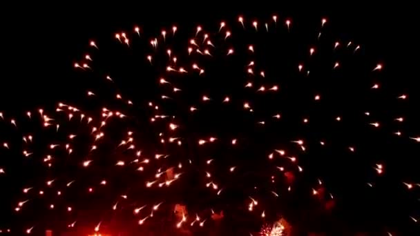 Firework display at night on black background. — Stock Video