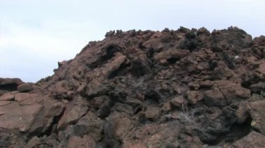 Kayalık sahil Galapagos Adaları.