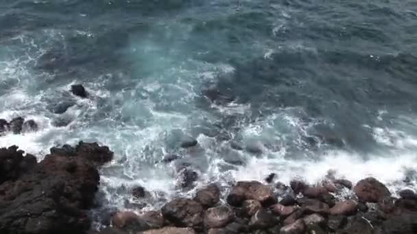 Ondas na costa Ilhas Galápagos . — Vídeo de Stock