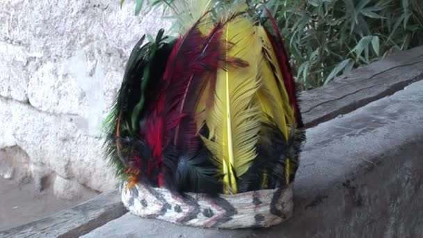 Plumas en choza indígenas guaraníes indios y Shuar . — Vídeos de Stock