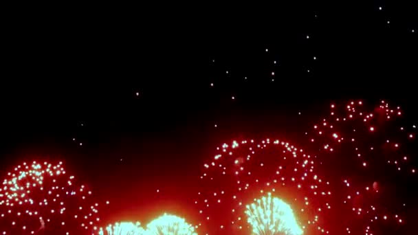 Firework display glaring colorful at night on black background. — Stock Video