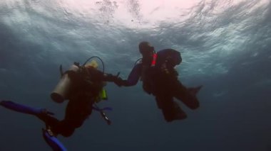 Erkekler ve kızlar dalgıçların sualtı Galapagos içinde silüeti.
