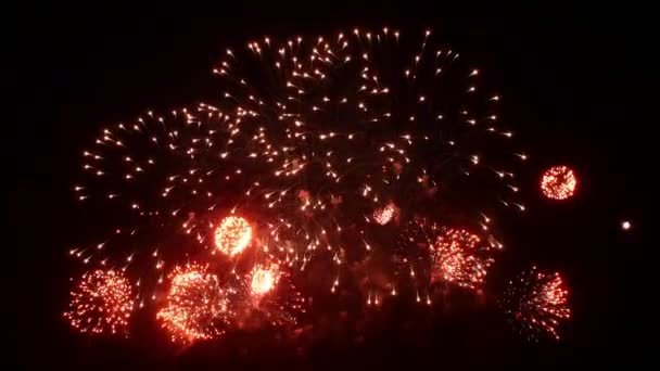 Exhibición de fuegos artificiales en la noche sobre fondo negro . — Vídeo de stock