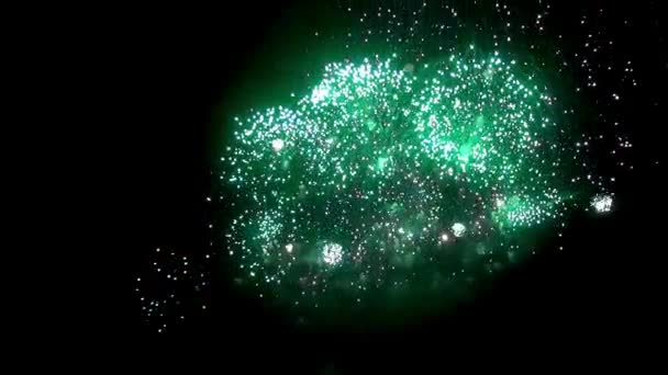 Exhibición de fuegos artificiales en la noche sobre fondo negro . — Vídeo de stock