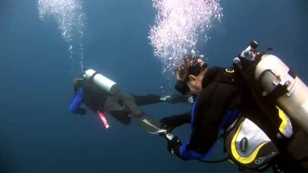 Scuba δύτες υποβρύχια χάσμα βαθύ του βυθού. — Αρχείο Βίντεο