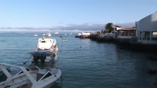 Yachts and boats on background of water surface near coast in Pacific Ocean. — Stock Video