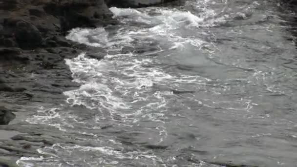 Waves on coast Galapagos Islands. — Stock Video