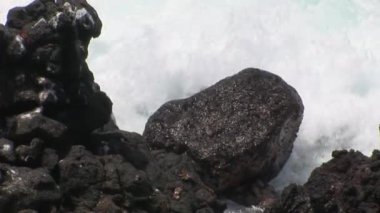 Dalgalar kenarı Galapagos Adaları.