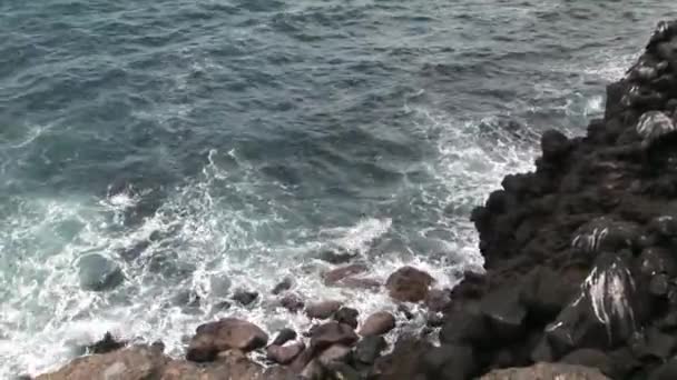 Hullámok tengerpart Galápagos-szigetek. — Stock videók