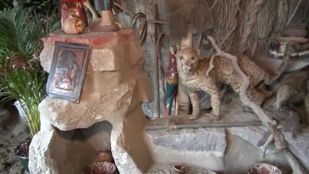 Stofftiere in Hütten indigener Guarani-Indianer und Shuar. — Stockvideo