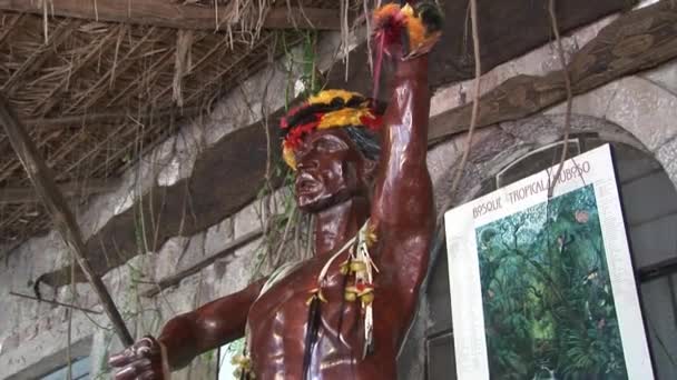 Afbeelding van de inheemse Guarani indianen en Shuar. — Stockvideo