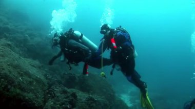 Scuba divers sualtı Galapagos.