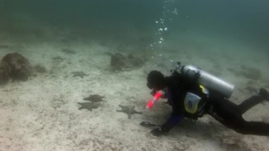 Tüplü dalgıçlar ve denizyıldızı sualtı deniz dibinin arka plan üzerinde.