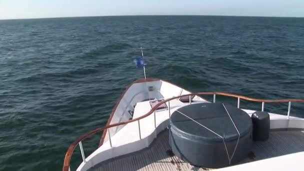 Bow of white yacht on background of blue water surface in Pacific Ocean. — Stock Video