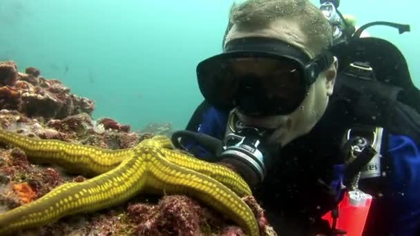 Дайверы и морские звезды под водой на фоне морского дна . — стоковое видео