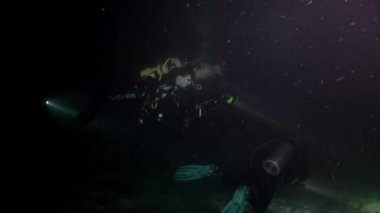 Scuba diver derin sualtı Yüzme.